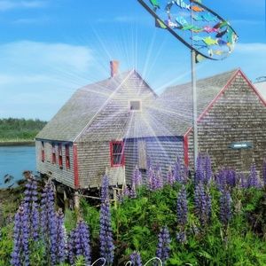 Meet your Posher, Jodi